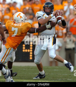 Sep 02, 2006; Knoxville, TN, Stati Uniti d'America; Cal il quarterback Nate Longshore è pressioni da parte del Tennessee Jerod Mayo nel secondo trimestre del loro gioco presso lo Stadio Neyland di Knoxville, TN sabato 7 settembre 2, 2006. Longshore è stato pressurizzato e si precipitò tutto il primo semestre e per l'offesa è andato in nessun luogo con Cal andando nella metà posteriore. 14-0 Credito: Foto di Dan Honda/Contra Costa Times Foto Stock