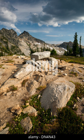 WASHINGTON - nuvole temporalesche formando nel corso della North Cascades vicino a Maple Pass nel Okanogan National Forest. Foto Stock