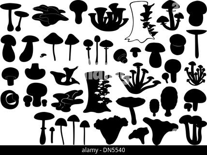 Insieme di diversi funghi Illustrazione Vettoriale