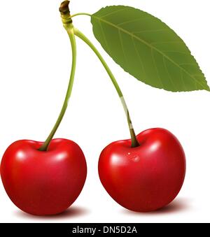 Due red cherry bacche con foglia. Vettore. Illustrazione Vettoriale