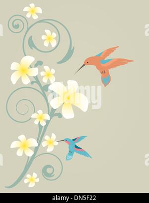 Fiori tropicali frangipani (plumeria) . Illustrazione Vettoriale