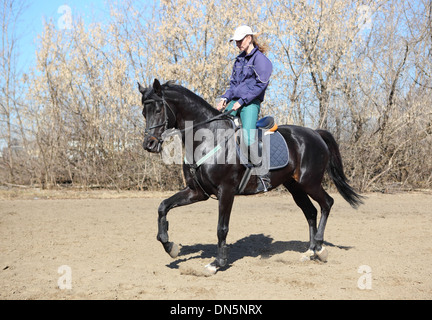 Giovane e bella donna bionda la formazione nero cavallo dressage Foto Stock