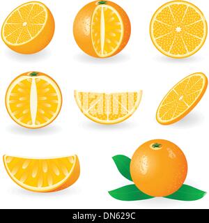 Orange Illustrazione Vettoriale