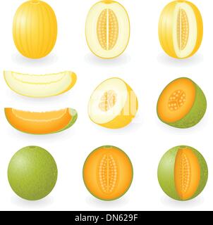 Melone Illustrazione Vettoriale