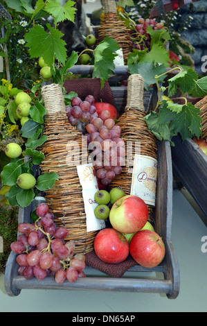 Bottiglie di vimini e la frutta in un arte floreale Display di ultima del vino estivo per Acomb Flower Guild a Harrogate Autunno Mostra Foto Stock