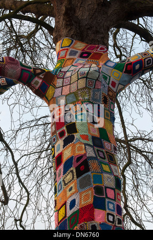 Il ricordo di albero, Bancroft giardini, Stratford-upon-Avon, Regno Unito Foto Stock