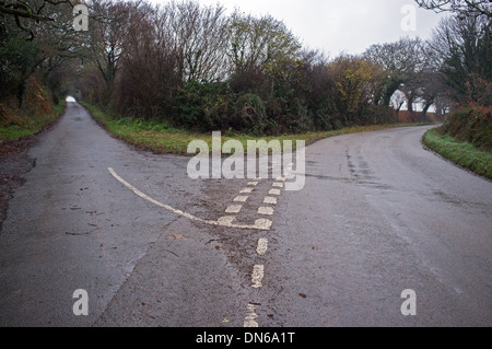Ci sono due strade che divergono nel vicino a Flushing, Cornwall, Regno Unito Foto Stock