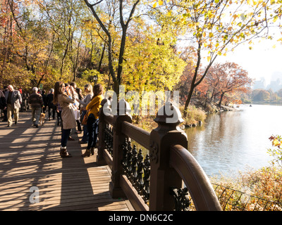 Ponte in legno di quercia presso Banca Rock Bay, il lago, al Central Park di New York Foto Stock