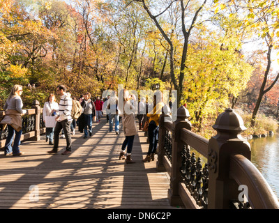 Ponte in legno di quercia presso Banca Rock Bay, il lago, al Central Park di New York Foto Stock