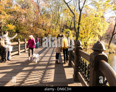 Ponte in legno di quercia presso Banca Rock Bay, il lago, al Central Park di New York Foto Stock