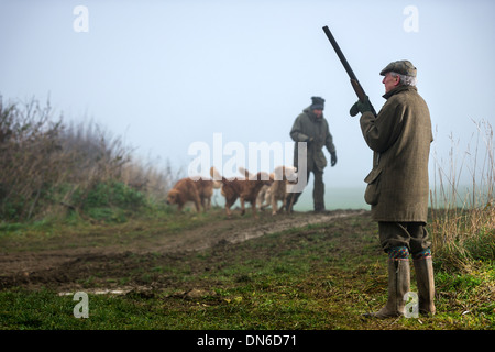 La nebbia scende su di un giorni pilotato sparare in dicembre nel cuore della campagna di Wiltshire. Foto Stock