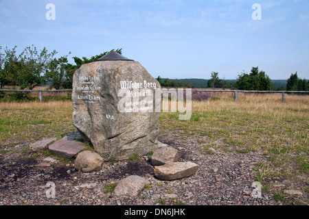 Pietra sulla vetta del Monte Wilseder / Wilseder Berg vicino Wilsede, Lüneburg Heath / Lunenburg brughiera, Bassa Sassonia, Germania Foto Stock