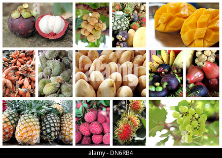 L'immagine della frutta tropicale nel telaio e nel tipo di molti. Foto Stock