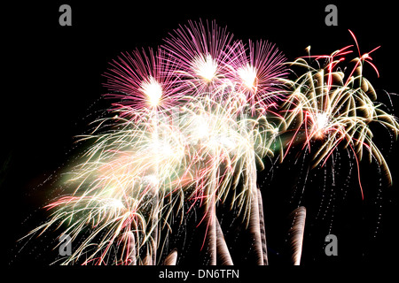 Varietà di coloratissimi fuochi d'artificio o petardo nelle tenebre. Foto Stock