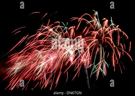 Fuochi d'artificio rosso Varietà di colorati nelle tenebre. Foto Stock