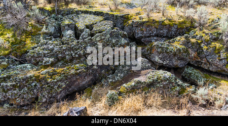 Il flusso di lava formando un campo di roccia da antiche attività vulcanica. Idaho, Stati Uniti Foto Stock