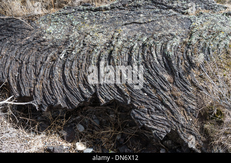 Il flusso di lava formando un campo di roccia da antiche attività vulcanica. Idaho, Stati Uniti Foto Stock