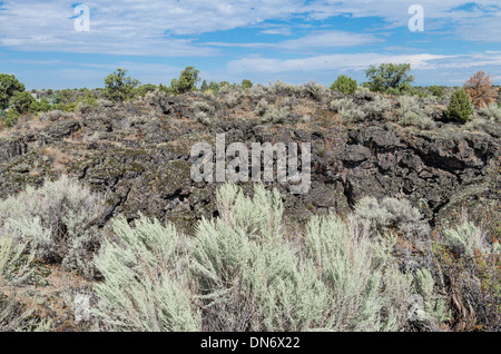 Il flusso di lava formando un campo di roccia da antiche attività vulcanica. Idaho, Stati Uniti Foto Stock