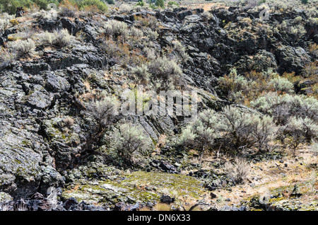 Il flusso di lava formando un campo di roccia da antiche attività vulcanica. Idaho, Stati Uniti Foto Stock