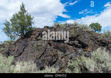 Il flusso di lava formando un campo di roccia da antiche attività vulcanica. Idaho, Stati Uniti Foto Stock