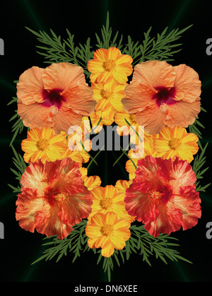 Unique digital arte floreale design, arancione e rosso hibiscus, arancione coreopsis fiori & lacy fogliame in motivo decorativo su sfondo nero Foto Stock