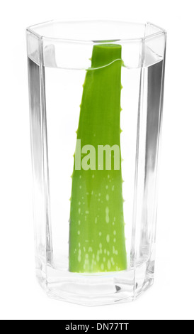 Fresh aloe vera in un bicchiere di acqua Foto Stock