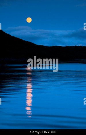 Geographic bay, Katmai national park, Alaska, Stati Uniti d'America, di notte con i raggi della luna. Foto Stock