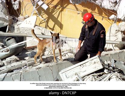 Sett. 8, 1999 - Atene, GRC - uno sniffer cane del Greco squadra di salvataggio delle ricerche per i sopravvissuti al naufragio di un quattro-storia edificio di appartamenti in Atene nord sobborgo di Nea Philadelphia mercoledì 8 settembre 1999.Â© IMAPRESS / A N A X (credito Immagine: © Globo foto/ZUMAPRESS.com) Foto Stock