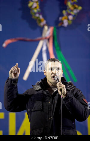 Kiev, Ucraina. Xix Dec, 2013. Il leader dell opposizione Wladimir Klitschko parla alle persone che hanno per assemblare le Euromaidan protesta a Kiev, Ucraina, 19 dicembre 2013. Foto: Jan A. Nicolas/dpa/Alamy Live News Foto Stock