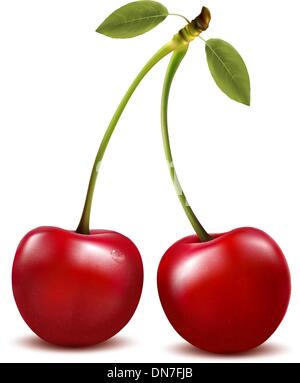 Due red cherry bacche con foglia. Vettore. Illustrazione Vettoriale