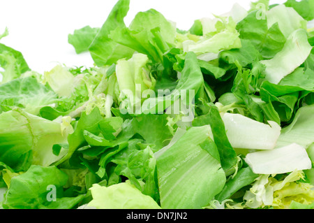 Primo piano di una pila di mesclun, un mix assortiti di foglie di insalata, su sfondo bianco Foto Stock