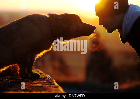 Uomo e cane in controluce guardare a ogni altro Foto Stock