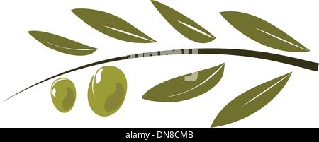 Le olive sul ramo con foglie. Illustrazione Vettoriale