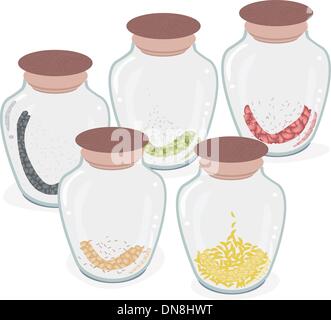 Cinque bottiglie di fagioli differenti isolati su sfondo bianco Illustrazione Vettoriale