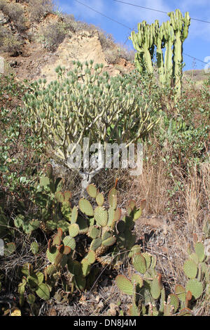 Spagna - Gran Canaria - Novembre 2013 Foto Stock