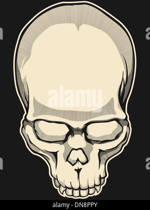 Cranio dell'annata Illustrazione Vettoriale
