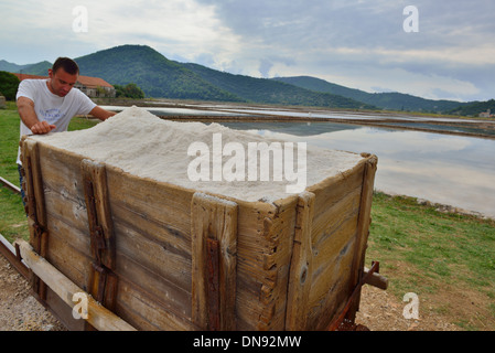 Lavoratore spingendo il sale raccolto nei carrelli ferroviari sulle saline che ha reso Ston prezioso per la Repubblica di Ragusa (Dubrovnik), Croazia Foto Stock