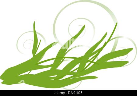 Blossom Illustrazione Vettoriale