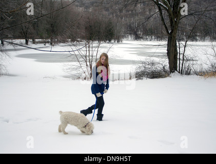 Ragazza adolescente a piedi il suo cane in una giornata invernale Foto Stock