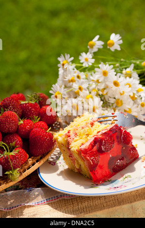 Jaffa torta con fragole e gelatina rossa Foto Stock