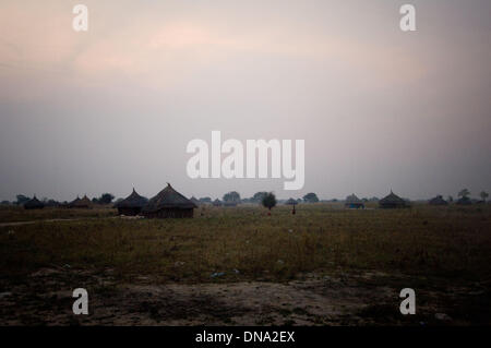 Alian, Jonglei, Sud Sudan. Xiv Nov, 2009. I Dinka village Alian, vicino a Bor di Jonglei, il sud Sudan è uno dei molti villaggi nel travagliato stato dopo Dinka e Nuer fazioni in seno al governo hanno iniziato a combattere. © sarà Seberger/ZUMAPRESS.com/Alamy Live News Foto Stock