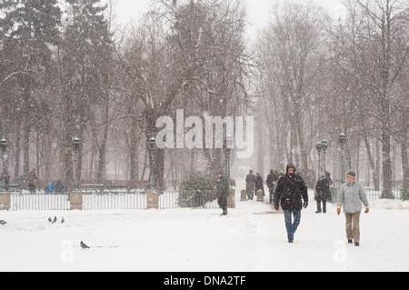 I turisti in whiteout in bagni di Varsavia Royal Park Foto Stock