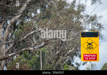 Rurali campagna Australiana paddocks campi con Big Blue Skies secco rosolato sun off campi e alberi verdi Foto Stock