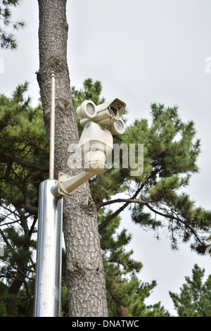 Telecamera TVCC con luce a infrarossi Foto Stock