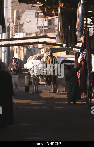 Andare a lavorare in Esna Egitto. Foto Stock