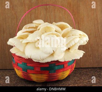 Cesto di funghi orecchioni in cucina con il fuoco selettivo Foto Stock