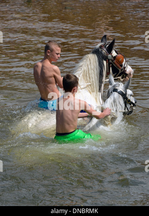 Viaggiatore zingaro ragazzi a cavallo nel fiume Eden. Appleby Horse Fair, Appleby-in-Westmoreland, Cumbria, Inghilterra, Regno Unito. Foto Stock