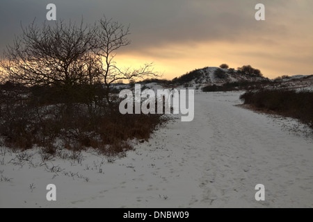 Tramonto in un paesaggio invernale a Berkheide, Katwijk aan Zee, Paesi Bassi Foto Stock