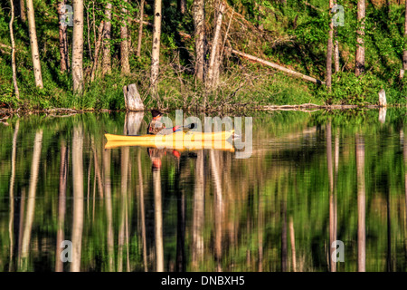 Bella, scenic immagine dell uomo in giallo, kayak sul lago calmo, circondato da alberi, tutto si riflette nell'acqua. Foto Stock