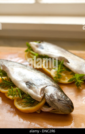 Trote farcite con fettine di limone e timo Foto Stock